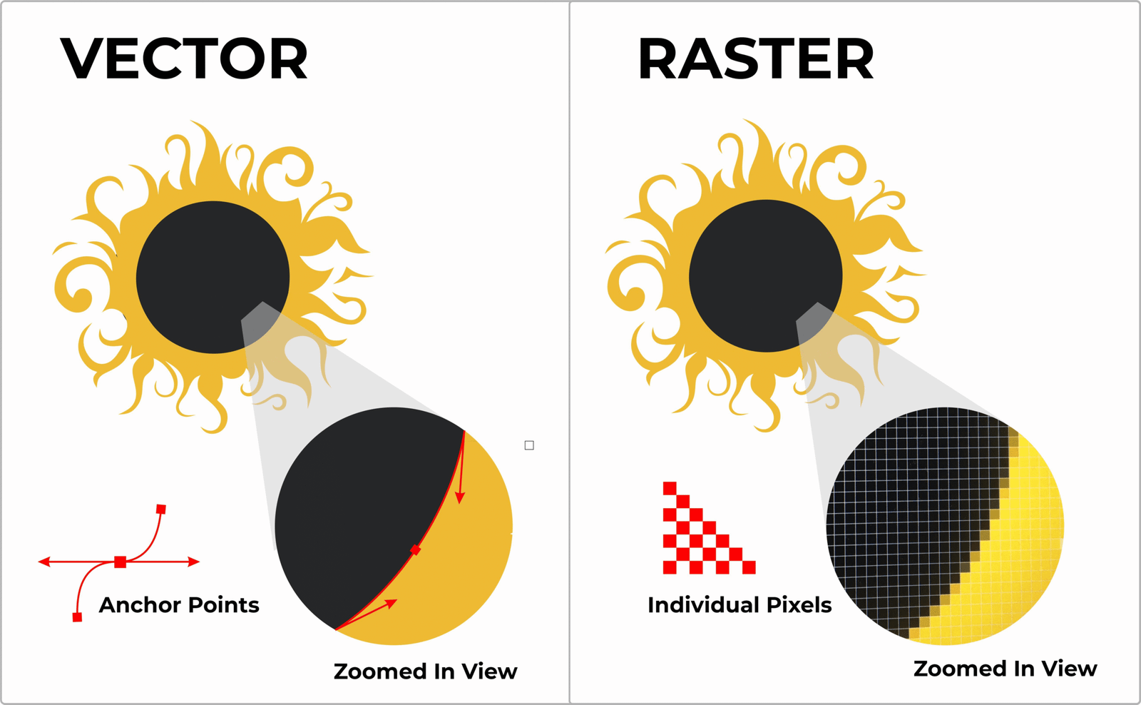 difference between vector and bitmap files
